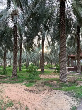 صورة ٢، مزرعة عذبة