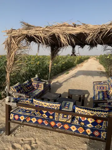 صورة ٥، أرياف زكي السالم للمياه الكبريتيه