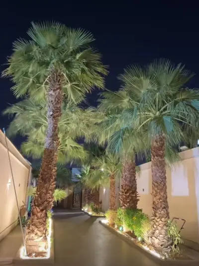 شاليهات المناخ
