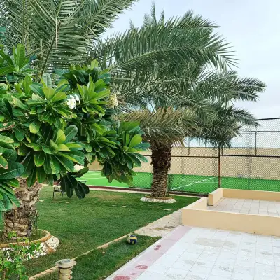 صورة ٣، استراحة ماما سارة