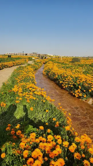 صورة ٢، مزرعة الناصرية