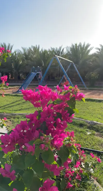 صورة ٤، استراحه ومنتجع الناصر