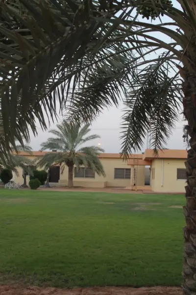 صورة ٦، استراحة المطلق
