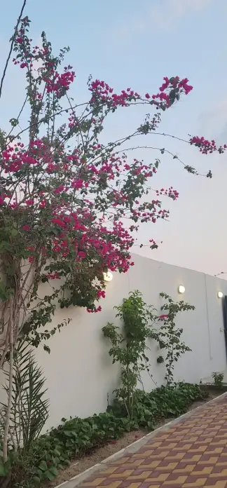 صورة ٣، استراحة تيرا بارك
