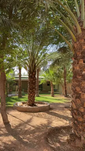 صورة ٥، استراحة للاجار اليومي