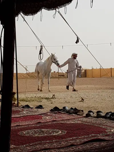 صورة ٣، مخيم الفرسان بملهم