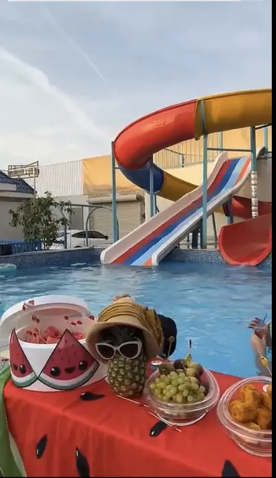 صورة ٢، شاليهات ونس المائية