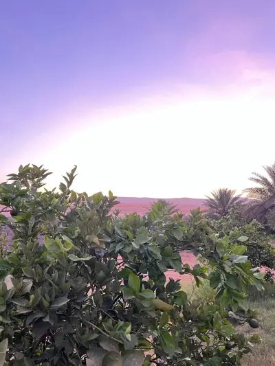 صورة ٥، صبا نجد - استراحة أبوسعود