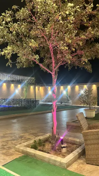 صورة ٥، شاليه الديوان