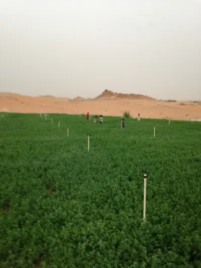 صورة ٥، استراحة الشيخ سرحان بن معيلم