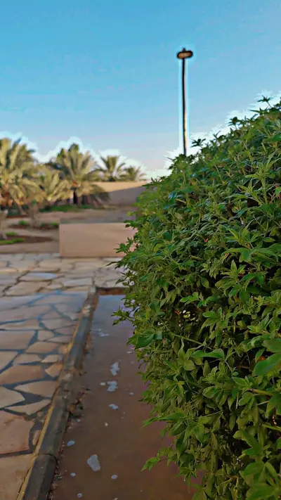 صورة ٤، استراحة الفايزية