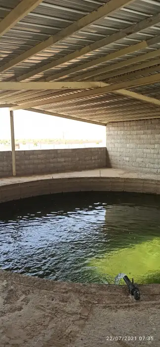 صورة ٥، استراحه السلامه