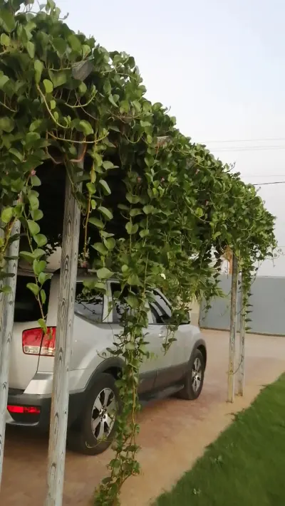 صورة ٣، شاليهات البساتين