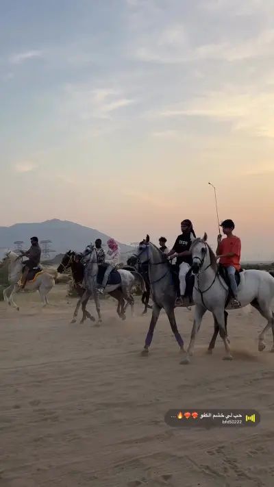 صورة ٣، استراحة ومربط السّالم