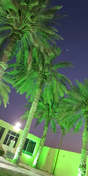 صورة ٤، استراحة و ملعب المصباح