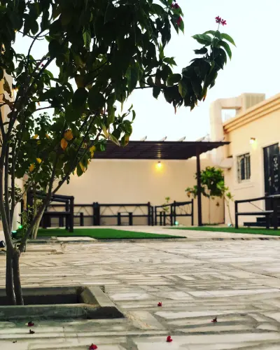 صورة ٤، شاليه مون لايت
