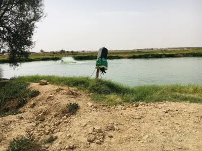 مزرعة اسماك الدلم