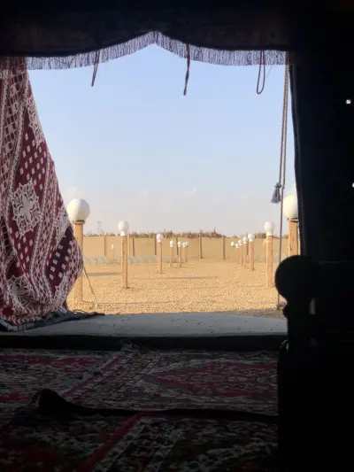 مخيم اوليفيا روز