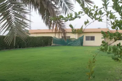 صورة ٣، استراحة المطلق