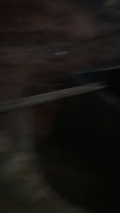 صورة ٤، استراحة اوسان