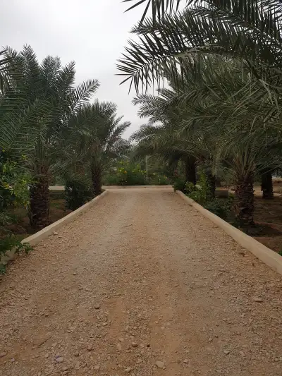 مزرعة سحاب بالدلم
