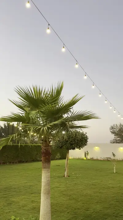 صورة ٣، استراحة نورة