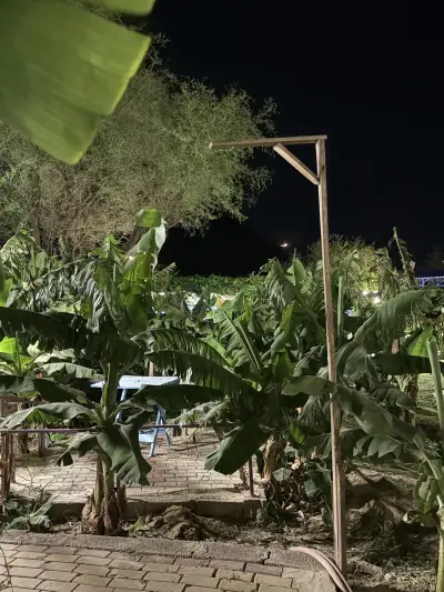 مزرعة عذوق الريف