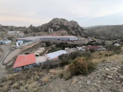 شركة مزارع الترويت للأسماك