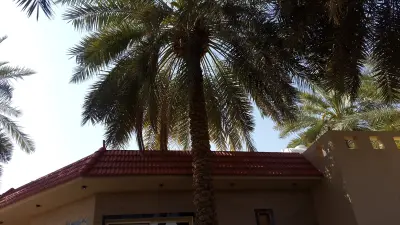 صورة ٣، شاليهات رودينا