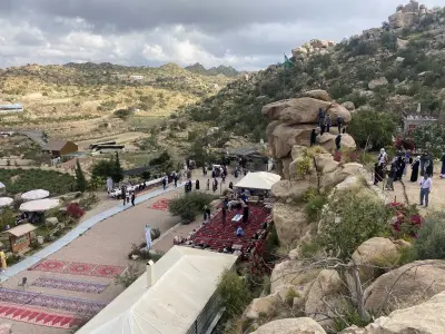 صورة ٣، مزرعة مشعل السفياني للورد بالشفا