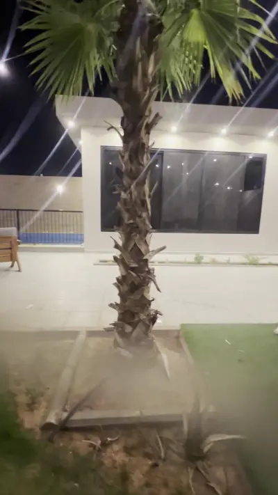 صورة ٣، شاليه فانسي تايم