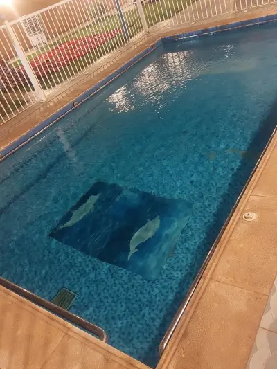 صورة ٢، شاليه اي آم