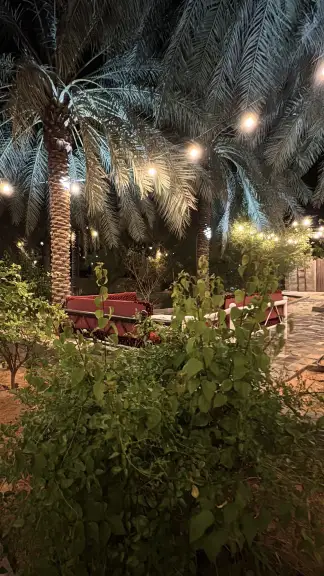 منتجع ظلال النخيل
