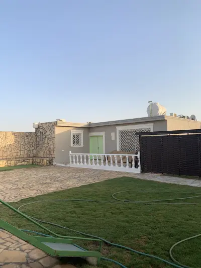 صورة ٥، استراحة الخيال