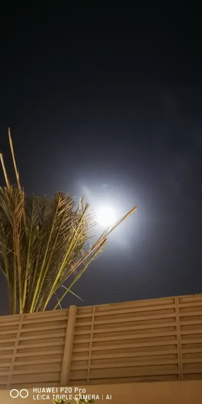 صورة ٥، شالية لمه